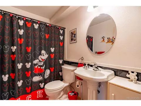 Bath - 212 Wisp Creek Dr, Bailey, CO 80421 photo 2 of 2