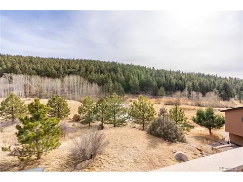 Other - 212 Wisp Creek Dr, Bailey, CO 80421 photo 12 of 12