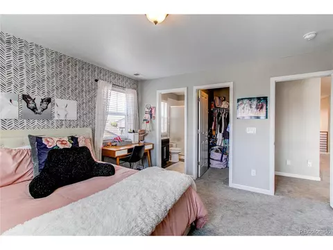 21982 E Layton Dr, Aurora, CO 80015 photo 30