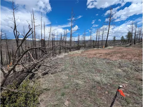 143 Friede Pl, Fort Garland, CO 81133
