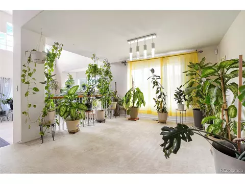 20292 E 47th Ave, Denver, CO 80249 photo 6