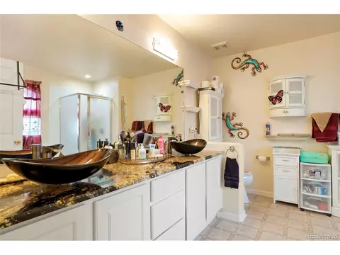 20292 E 47th Ave, Denver, CO 80249 photo 21