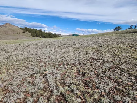 558 Chickadee Dr, Hartsel, CO 80449 photo 16