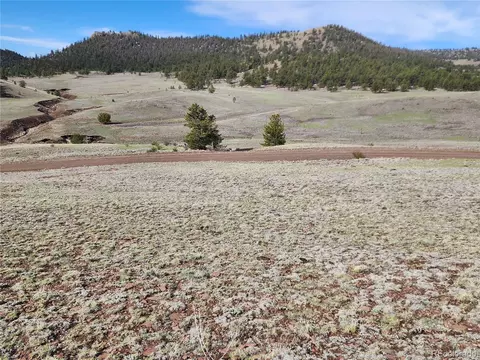558 Chickadee Dr, Hartsel, CO 80449 photo 11