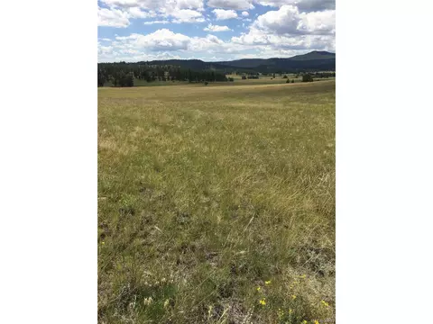 0 Daisy Ln, Guffey, CO 80820 photo 3