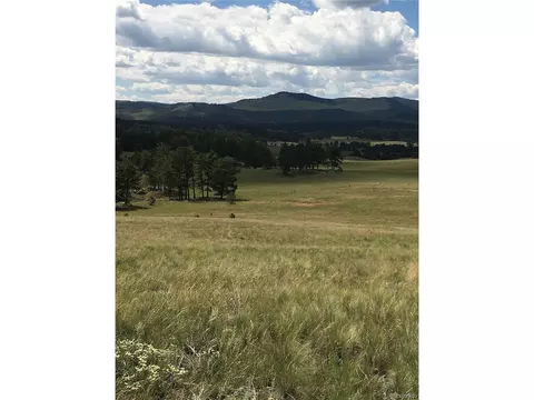 0 Daisy Ln, Guffey, CO 80820 photo 6