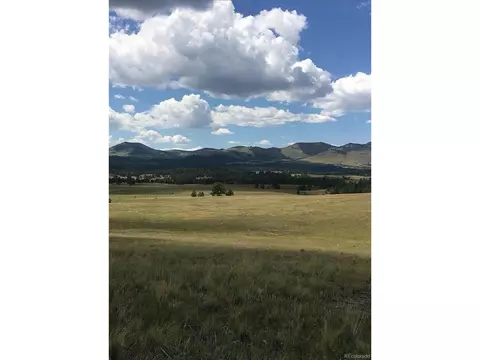 0 Daisy Ln, Guffey, CO 80820 photo 5