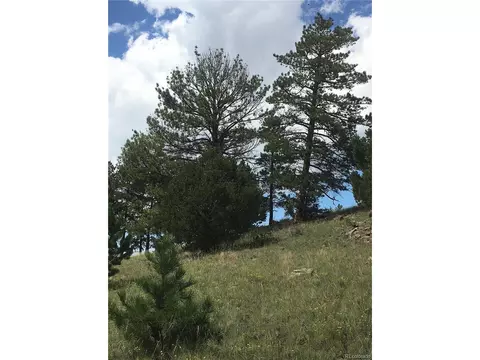 0 Daisy Ln, Guffey, CO 80820 photo 7