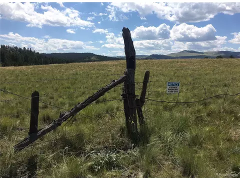 0 Daisy Ln, Guffey, CO 80820 photo 8