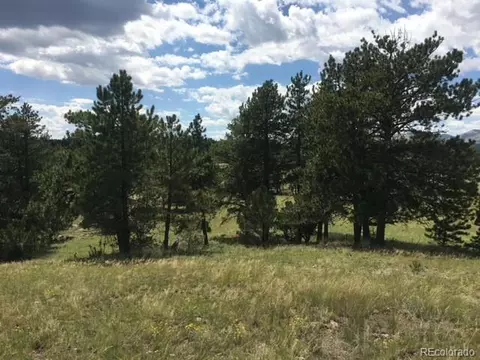 0 Daisy Ln, Guffey, CO 80820 photo 4