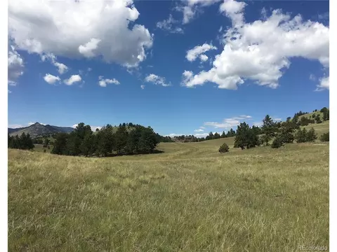 0 Daisy Ln, Guffey, CO 80820