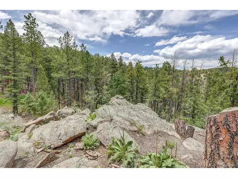 205 Blueberry Trl, Bailey, CO 80421 photo 46