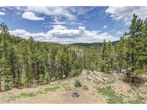 205 Blueberry Trl, Bailey, CO 80421 photo 42