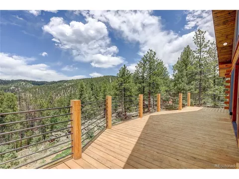 205 Blueberry Trl, Bailey, CO 80421 photo 43