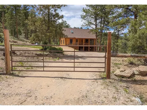 205 Blueberry Trl, Bailey, CO 80421 photo 47