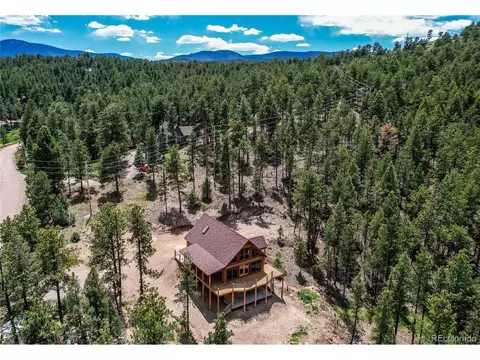 205 Blueberry Trl, Bailey, CO 80421 photo 4