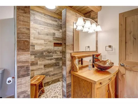 205 Blueberry Trl, Bailey, CO 80421 photo 36