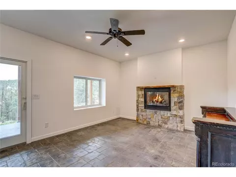 205 Blueberry Trl, Bailey, CO 80421 photo 7