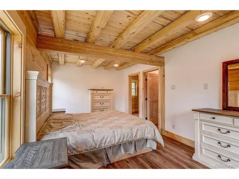 205 Blueberry Trl, Bailey, CO 80421 photo 34