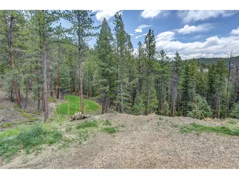 205 Blueberry Trl, Bailey, CO 80421 photo 11