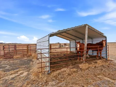 Other - 3374 County Road P, Wiggins, CO 80654 photo 8 of 8