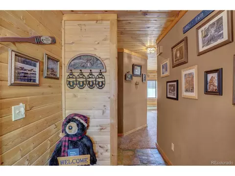 318 Rainbow Trl, Divide, CO 80814 photo 9