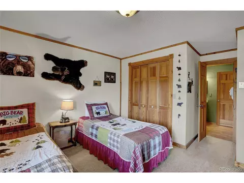 318 Rainbow Trl, Divide, CO 80814 photo 32