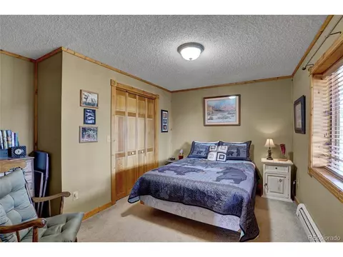 318 Rainbow Trl, Divide, CO 80814 photo 34