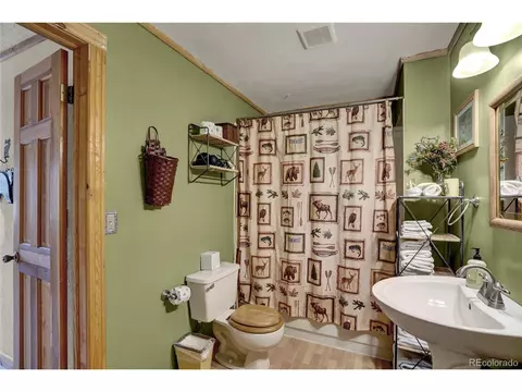 318 Rainbow Trl, Divide, CO 80814 photo 33