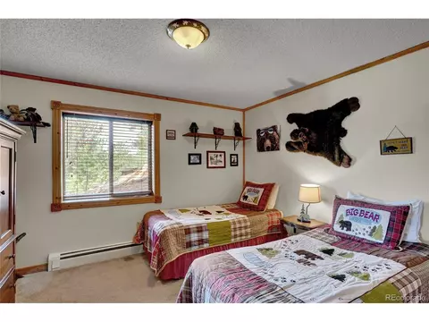 318 Rainbow Trl, Divide, CO 80814 photo 31