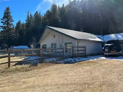 96 River Dr, Bailey, CO 80421
