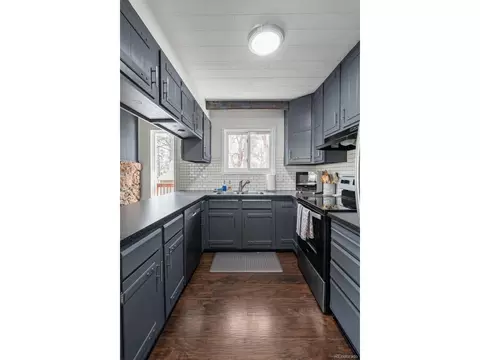 1933 Roland Dr, Bailey, CO 80421 photo 22