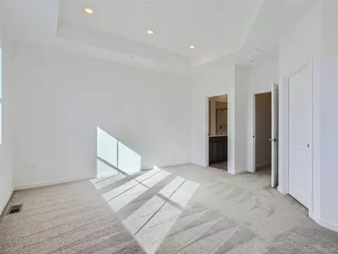 5457 Euclid Dr, Timnath, CO 80547 photo 14