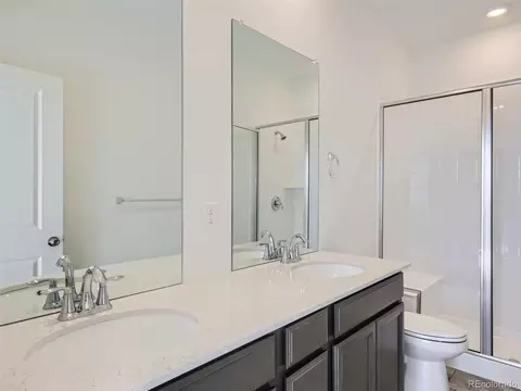 5457 Euclid Dr, Timnath, CO 80547 photo 16