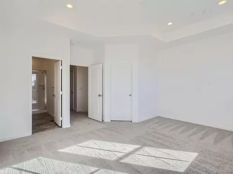 5457 Euclid Dr, Timnath, CO 80547 photo 15