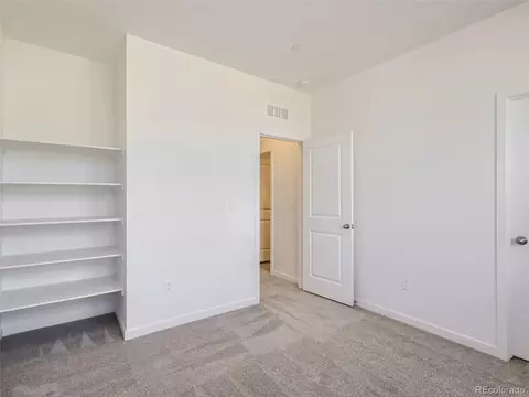 5457 Euclid Dr, Timnath, CO 80547 photo 21