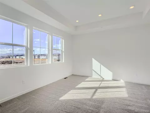 5457 Euclid Dr, Timnath, CO 80547 photo 13
