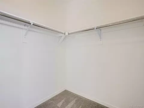 5457 Euclid Dr, Timnath, CO 80547 photo 18