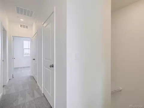 5457 Euclid Dr, Timnath, CO 80547 photo 23