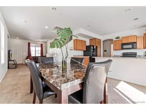 19098 E 47th Dr, Denver, CO 80249 photo 12