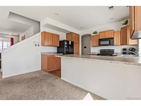 19098 E 47th Dr, Denver, CO 80249 photo 14