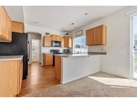 19098 E 47th Dr, Denver, CO 80249 photo 15