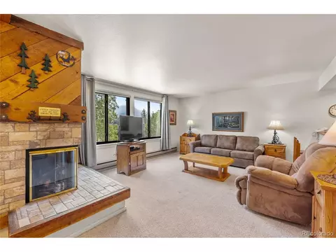 166 Argentine Ct #A-1433, Dillon, CO 80435
