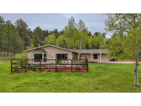 1451 Black Foot Trl, Woodland Park, CO 80863