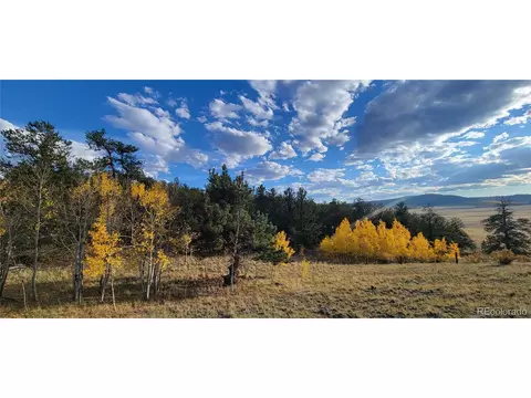813 Yellowstone Rd, Hartsel, CO 80449