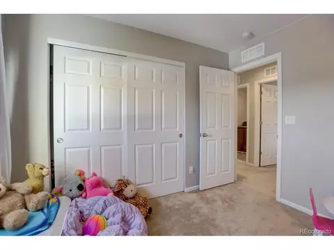 1813 Paley Dr, Windsor, CO 80550 photo 20
