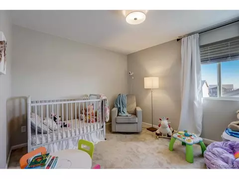 1813 Paley Dr, Windsor, CO 80550 photo 18