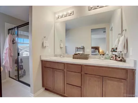1813 Paley Dr, Windsor, CO 80550 photo 15
