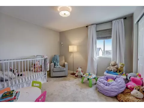 1813 Paley Dr, Windsor, CO 80550 photo 19