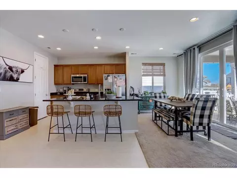1813 Paley Dr, Windsor, CO 80550 photo 9